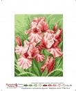 28x37, ���.0808